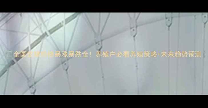 图片 📊全国生猪价格暴涨暴跌全！养殖户必看养殖策略+未来趋势预测