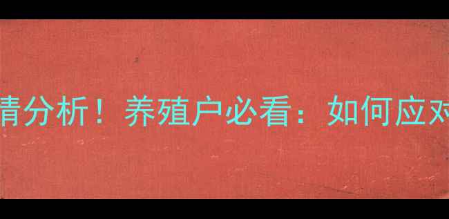 图片 📊全国鸡蛋价格最新行情分析！养殖户必看：如何应对市场波动？附趋势解读
