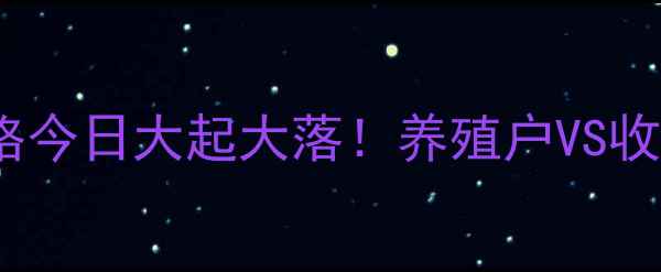 图片 📊南昌鸡蛋价格今日大起大落！养殖户VS收购商博弈🍗📈2