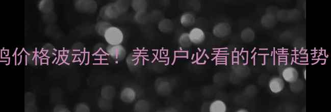 图片 📊大连淘汰鸡价格波动全！养鸡户必看的行情趋势与应对策略1