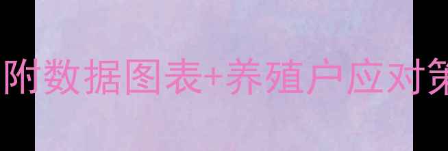 图片 📊生猪价格波动全｜附数据图表+养殖户应对策略（附行业启示）1