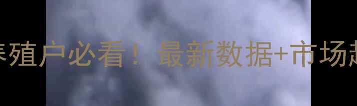 图片 📊青岛地区生猪价格波动全｜养殖户必看！最新数据+市场趋势+养殖建议（附详细表格）2