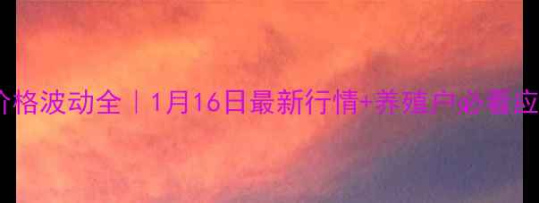 图片 📊鸡蛋价格波动全｜1月16日最新行情+养殖户必看应对策略2