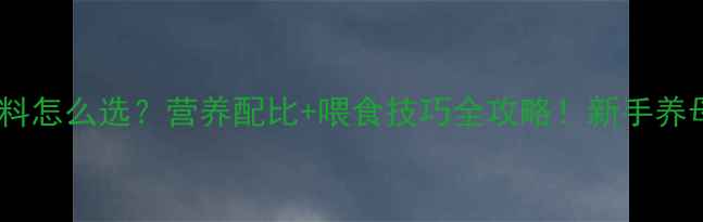 图片 📌孕猪饲料怎么选？营养配比+喂食技巧全攻略！新手养母猪必看2
