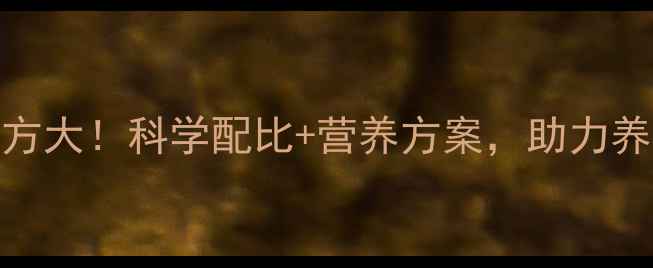 图片 📌山东蛋鸡饲料配方大！科学配比+营养方案，助力养殖户提升产蛋率🐔