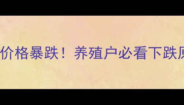 图片 📌最新行情10鸡苗价格暴跌！养殖户必看下跌原因+应对策略全🐔