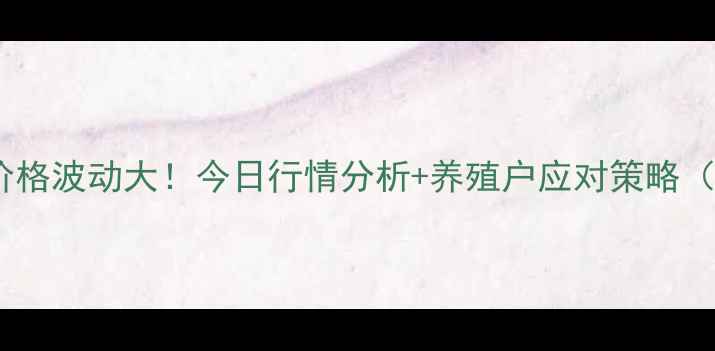 图片 📌湖北淘汰鸡价格波动大！今日行情分析+养殖户应对策略（附实时报价）2