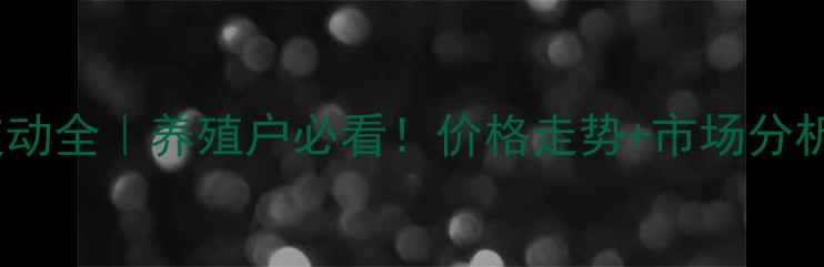 图片 🔥1月猪价波动全｜养殖户必看！价格走势+市场分析+应对策略1