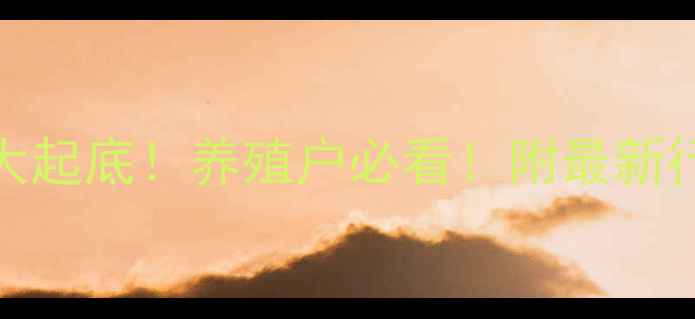 图片 🔥2月15日生猪价格大起底！养殖户必看！附最新行情分析+养殖技巧📊