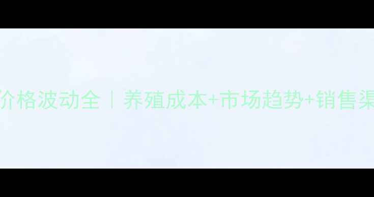 图片 🔥987毛鸡价格波动全｜养殖成本+市场趋势+销售渠道指南🔥1