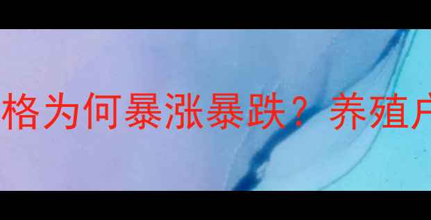 图片 🔥东北毛猪价格为何暴涨暴跌？养殖户必看深度！1