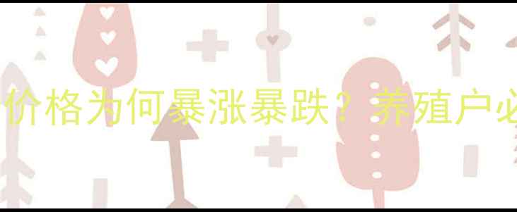 图片 🔥东北毛猪价格为何暴涨暴跌？养殖户必看深度！2