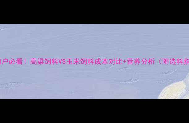 图片 🔥养殖户必看！高粱饲料VS玉米饲料成本对比+营养分析（附选料指南）2