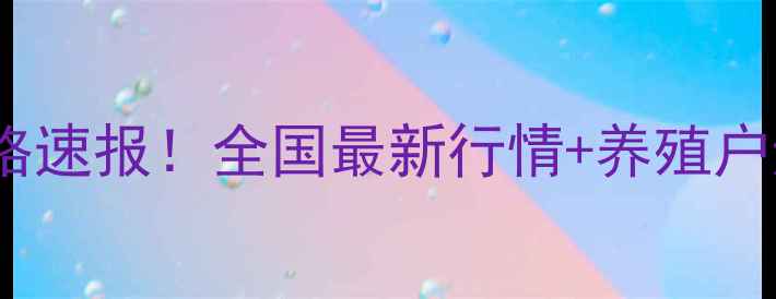 图片 🔥十二月四日生猪价格速报！全国最新行情+养殖户避坑指南，速存！🐷2