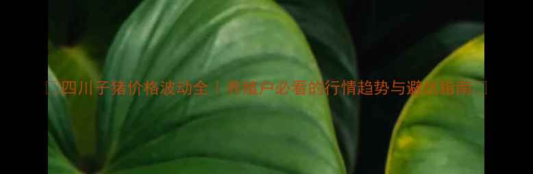 图片 🔥四川子猪价格波动全｜养殖户必看的行情趋势与避坑指南🔥