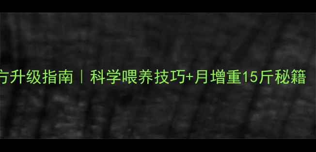 图片 🔥小母猪饲料配方升级指南｜科学喂养技巧+月增重15斤秘籍（附成本核算表）