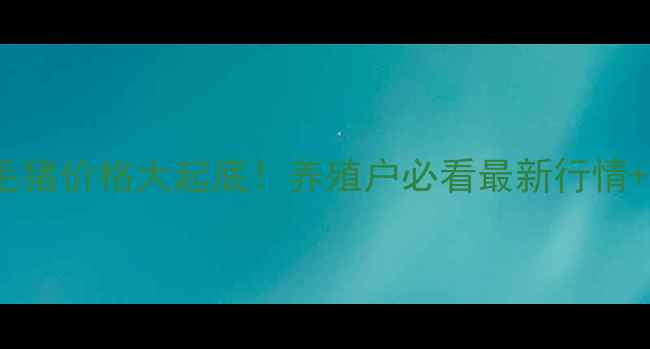 图片 🔥山东九月份毛猪价格大起底！养殖户必看最新行情+养殖避坑指南2