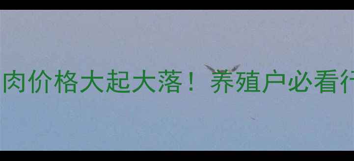 图片 🔥山西毛猪肉价格大起大落！养殖户必看行情分析🔥2