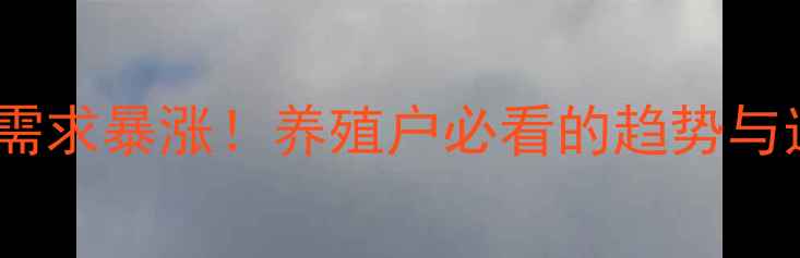 图片 🔥棕能饲料需求暴涨！养殖户必看的趋势与选品指南💥2