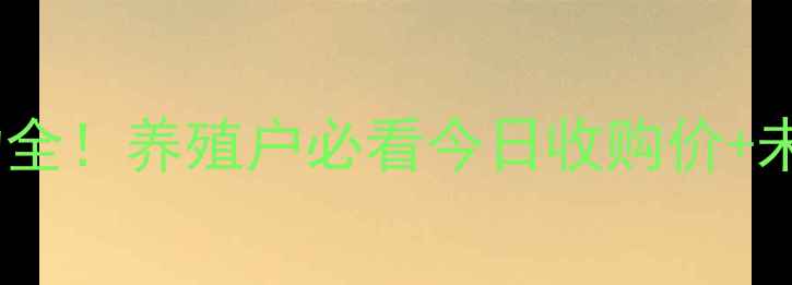 图片 🔥毛鸡价格波动全！养殖户必看今日收购价+未来趋势预测🔥1