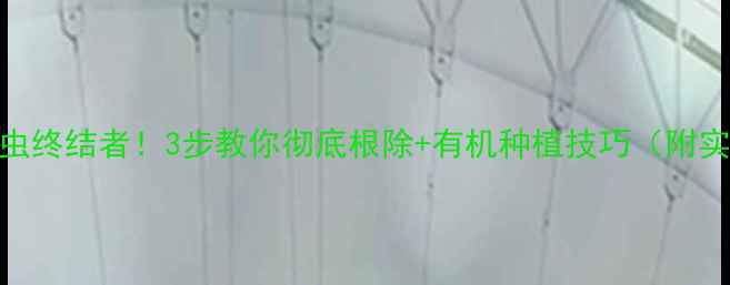 图片 🔥葡萄根结线虫终结者！3步教你彻底根除+有机种植技巧（附实测农药配比）