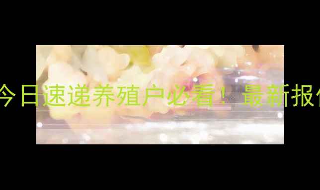 图片 🔥辽宁生猪价格今日速递养殖户必看！最新报价+市场趋势全🐷