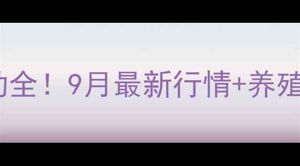 图片 🔥邯郸毛猪价格波动全！9月最新行情+养殖户必看避坑指南📊2