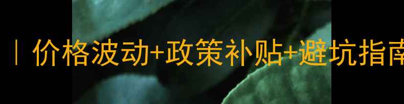 图片 🔥黑山猪养殖全攻略｜价格波动+政策补贴+避坑指南（附成本计算表）2