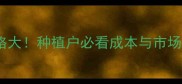 黄连解毒散一公斤价格大种植户必看成本与市场行情附采购指南