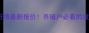 新发地白条猪价格行情最新报价养殖户必看的波动趋势与采购指南