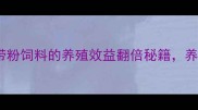养殖户必看脱脂海带粉饲料的养殖效益翻倍秘籍养殖户看完直呼真香