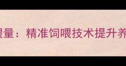 科学调控猪饲料饲喂量精准饲喂技术提升养殖效益的实践指南