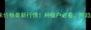 云南曲靖富源玉米价格最新行情种植户必看附趋势分析和应对策略