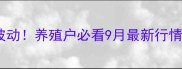 海丰生猪价格实时波动养殖户必看9月最新行情附养殖避坑指南