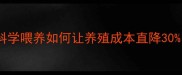最新猪饲料配方科学喂养如何让养殖成本直降30附真实效益分析