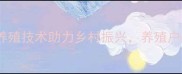 山东鹅饲料厂高效养殖技术助力乡村振兴养殖户必看指南最新版