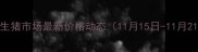 伊川生猪市场最新价格动态11月15日-11月21日