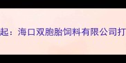 海南饲料行业领军者崛起海口双胞胎饲料有限公司打造高效养殖解决方案全