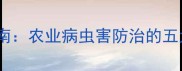 气雾杀虫剂安全使用技术指南农业病虫害防治的五大操作规范与风险防控措施