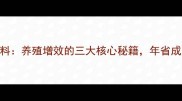 潍坊鲁和饲料养殖增效的三大核心秘籍年省成本超30