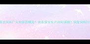 突发晋龙饲料厂火灾原因曝光农业安全生产如何保障深度饲料行业隐患