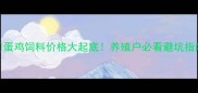 蛋鸡饲料价格大起底养殖户必看避坑指南