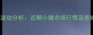 云南生猪价格波动分析近期小猪市场行情及养殖户应对策略
