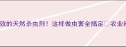 松香农药农民亲测有效的天然杀虫剂这样做虫害全搞定农业种植天然农药松香妙用