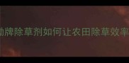 爆款展锄牌除草剂如何让农田除草效率提升50