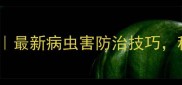 农药使用全攻略最新病虫害防治技巧种地更省心