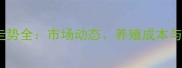 山西运城猪肉价格走势全市场动态养殖成本与消费趋势深度分析