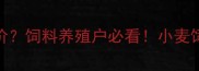 小麦价格跌破成本价饲料养殖户必看小麦饲料替代指标临界点
