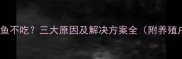 土霉素泡饲料鱼不吃三大原因及解决方案全附养殖户实操指南