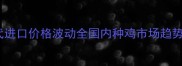 行业动态白羽鸡祖代进口价格波动全国内种鸡市场趋势与全球供应链影响
